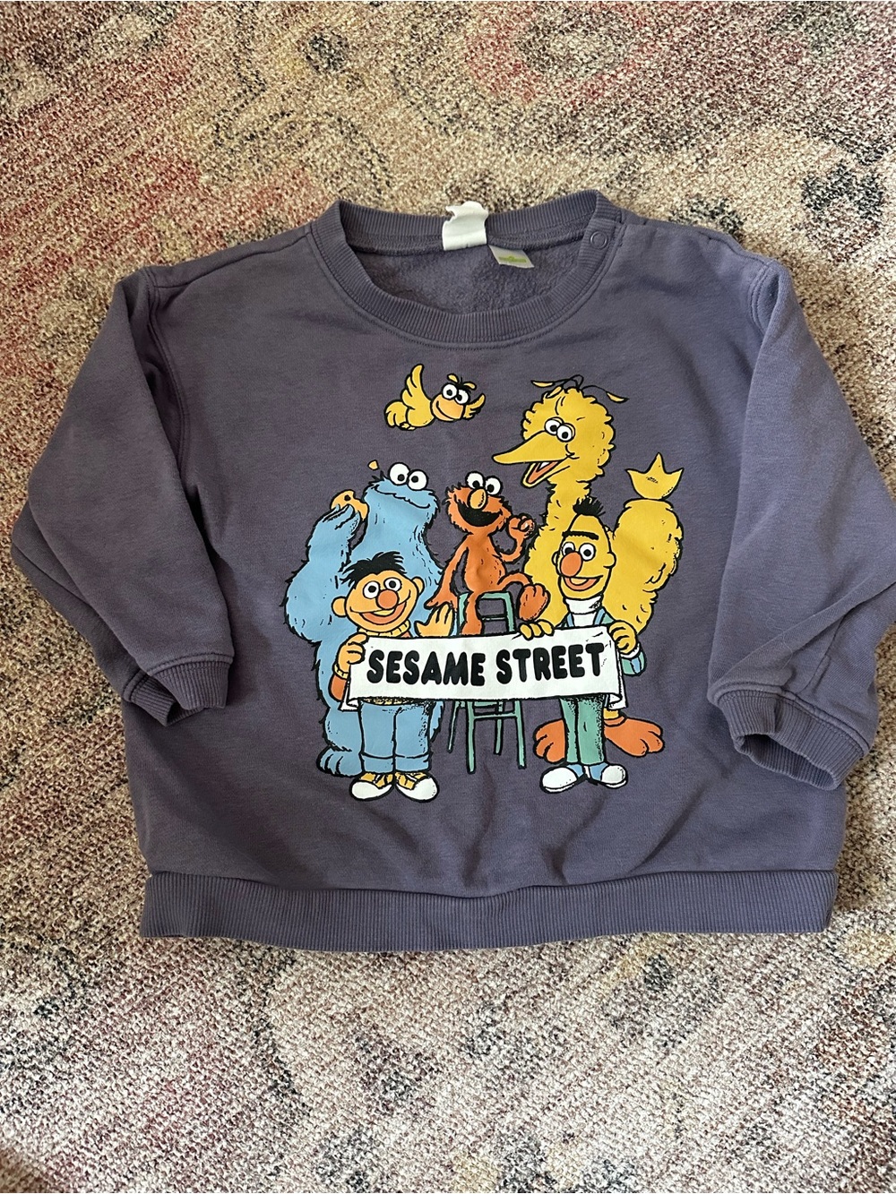 H&M Sesame Street Graphic Sweatshirt - 2T